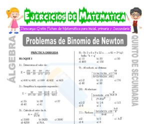 Problemas de Binomio de Newton para Quinto de Secundaria
