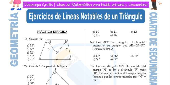 Ficha de Ejercicios de Líneas Notables de un Triángulo para Estudiantes de Cuarto de Secundaria