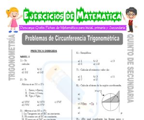Problemas de Circunferencia Trigonométrica para Quinto de Secundaria
