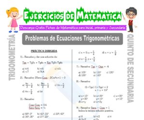 Problemas de Ecuaciones Trigonométricas para Quinto de Secundaria
