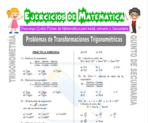 Problemas de Transformaciones trigonométricas para Quinto de Secundaria