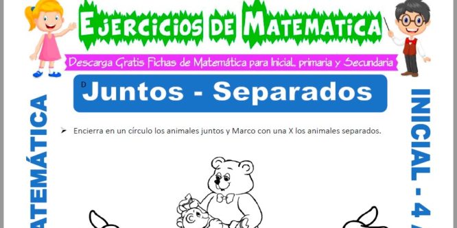 Ficha de Actividades de Juntos y Separados para Niños de 4 Años