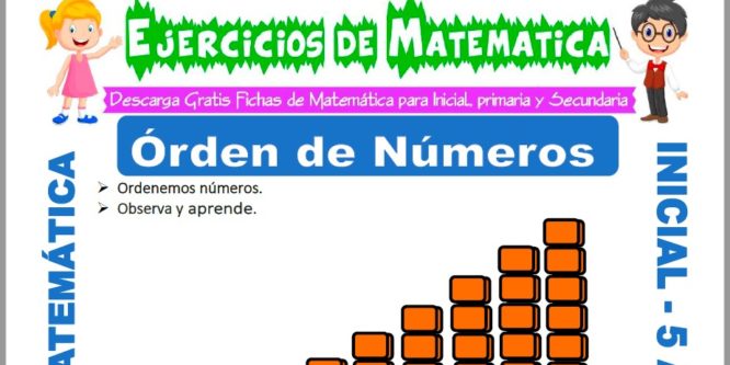 Ficha de Ejercicios de Ordenar Números para Niños de 5 Años