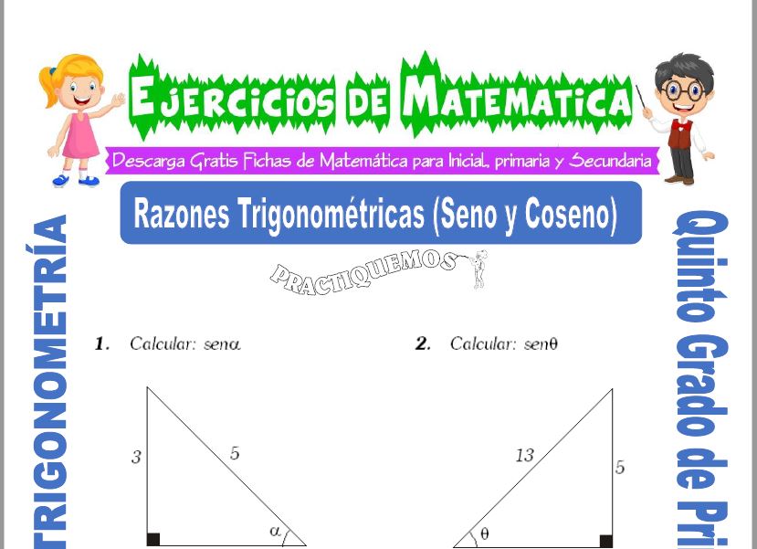 Actividades de Razones Trigonométricas (Seno y Coseno) para Quinto de Primaria