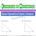 Ejercicios de Razones Trigonométricas (Tangente y Cotangente) para Quinto de Primaria