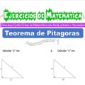 Ejercicios de Teorema de Pitágoras para Quinto de Primaria