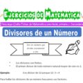 Ejercicios de Divisores de un Número para Tercero de Primaria