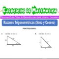 Ejercicios de Razones Trigonométricas (Seno y Coseno) para Sexto grado de Primaria